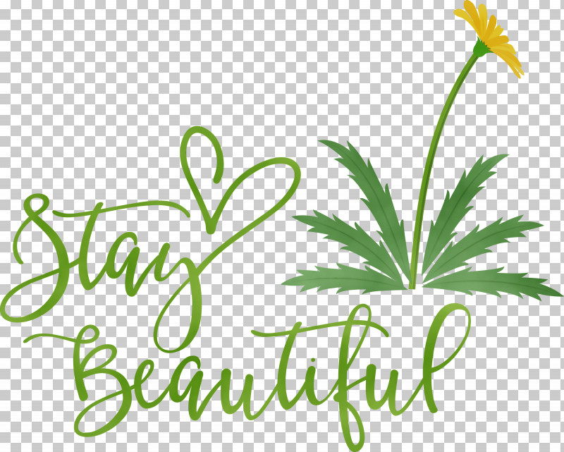 Leaf Plant Stem Flower Logo Herbal Medicine PNG, Clipart, Fashion, Flower, Green, Herbal Medicine, Leaf Free PNG Download