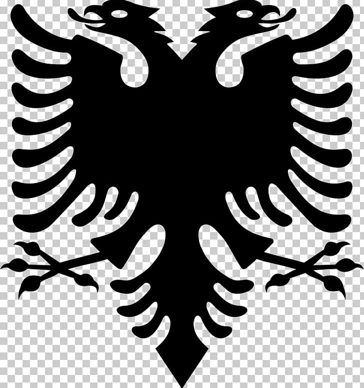 Flag Of Albania Double-headed Eagle Albanian Declaration Of ...