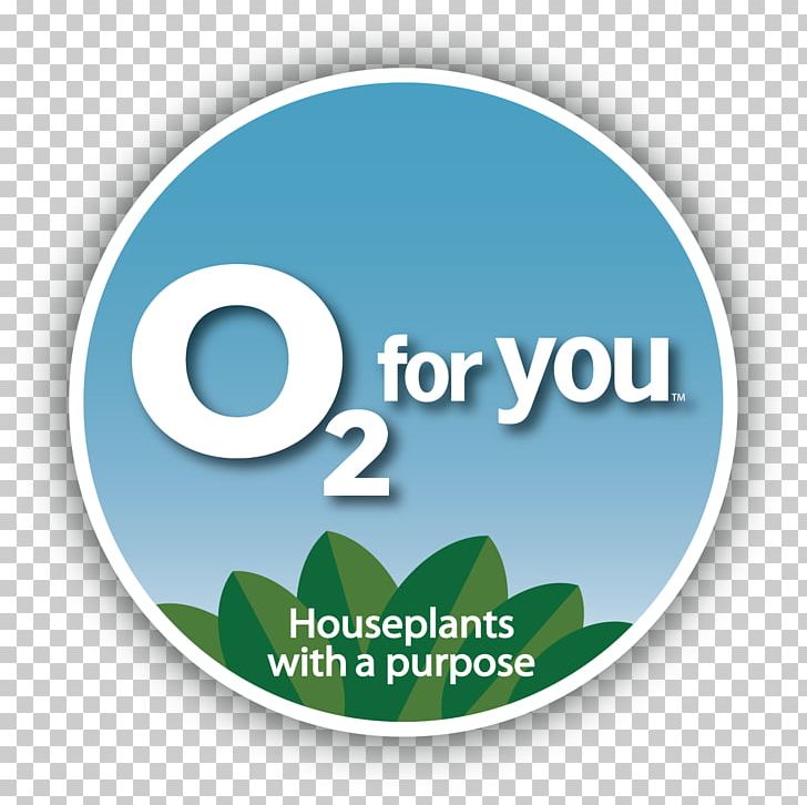 Houseplant Indoor Air Quality Air Pollution Yucca PNG, Clipart, Air, Air Pollution, Aloe Vera, Brand, Clean Air Free PNG Download