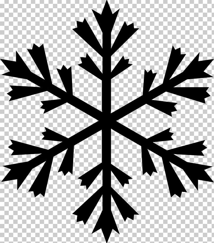 Snowflake Computer Icons Logo PNG, Clipart, Black And White, Branch, Computer Icons, Download Ai, Flowering Plant Free PNG Download