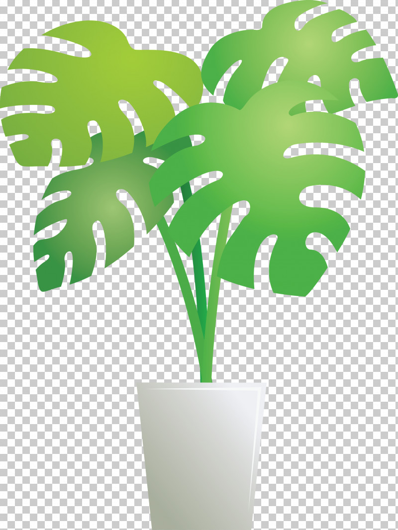 Monstera Tropical Leaf PNG, Clipart, Arecales, Flowerpot, Green, Leaf, Meter Free PNG Download