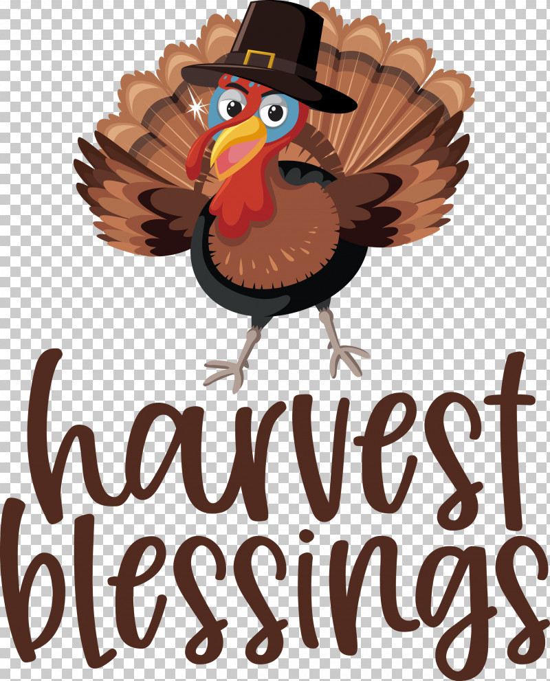 HARVEST BLESSINGS Thanksgiving Autumn PNG, Clipart, Autumn, Beak, Harvest Blessings, Landfowl, Thanksgiving Free PNG Download
