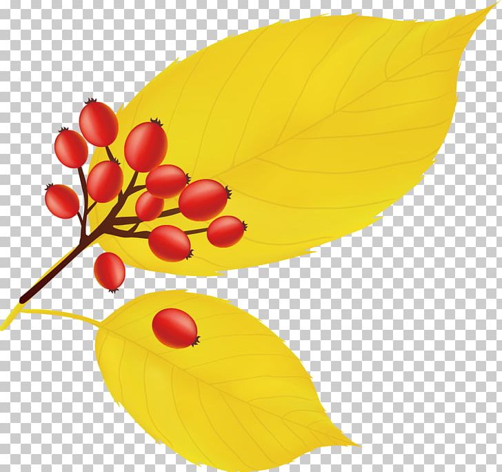 Yellow Maple Leaf Icon PNG, Clipart, Animation, Auglis, Autumn, Autumn Leaves, Autumn Tree Free PNG Download