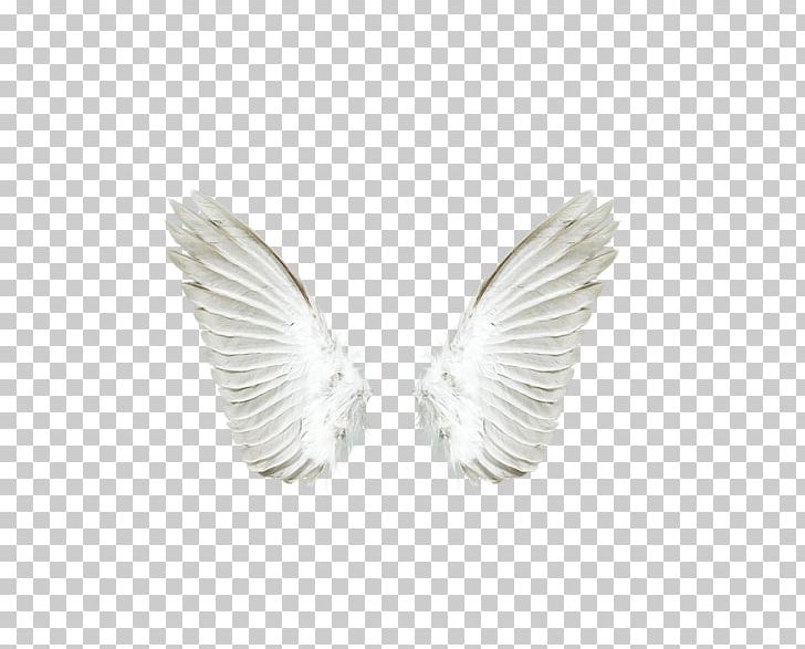 Angel PNG, Clipart, Angel, Angel Wing, Angel Wings, Black White, Chicken Wings Free PNG Download