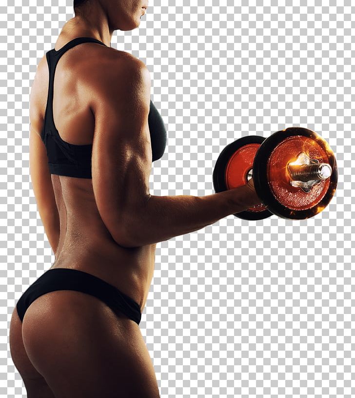 Dumbbell Physical Fitness Physical Exercise Bodybuilding Weight Training PNG, Clipart, Abdomen, Active Undergarment, Arm, Bodybuilder, Dumbbel Free PNG Download