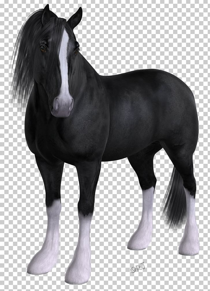Mustang Foal Mare Stallion Pony PNG, Clipart, Actual, Bit, Bridle, Draft, Felidae Free PNG Download