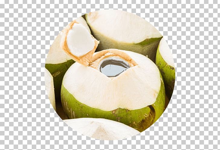 Coconut Water Drink Coconut Milk Juice PNG, Clipart, Coconut, Coconut Milk, Coconut Oil, Coconut Water, Concentrate Free PNG Download