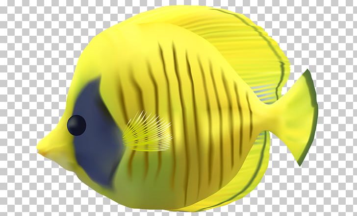 Fish PNG, Clipart, Beak, Color, Coral Reef Fish, Encapsulated Postscript, Fish Free PNG Download