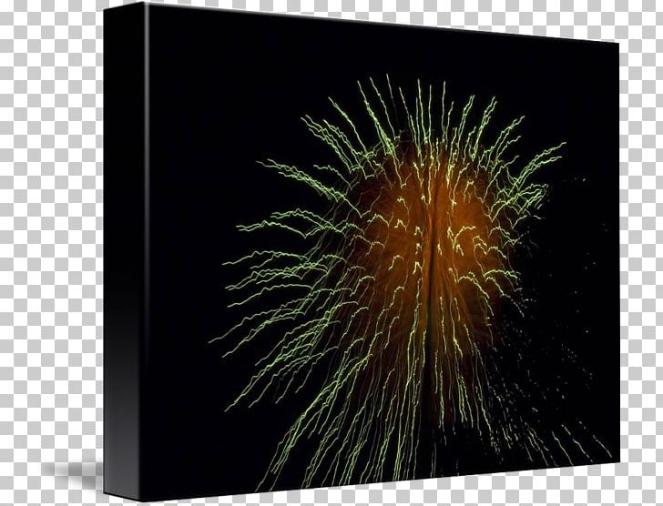 Kind Art Photography Poster Fireworks PNG, Clipart, Art, Canvas, Com, Fireworks, Holidays Free PNG Download