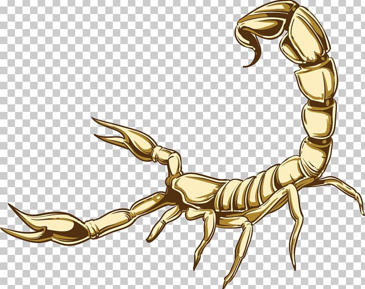 Scorpion Cartoon Illustration PNG, Clipart, Animal, Animal Illustration, Animals, Arachnid, Arthropod Free PNG Download