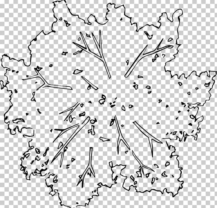 Tree View PNG, Clipart, Angle, Area, Big Tree, Black And White, Design Free PNG Download