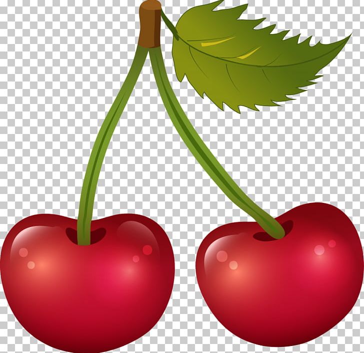 Cherry Food Cerasus PNG, Clipart, Apple, Cerasus, Cherry, Cherry Cartoon, Cherry Clipart Free PNG Download