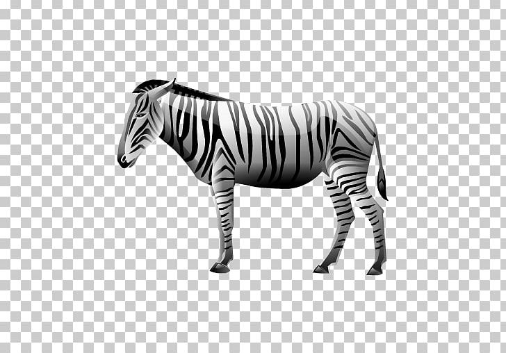 Quagga Computer Icons Computer Network PNG, Clipart, Animal Figure, Black And White, Computer Icons, Computer Network, Computer Software Free PNG Download