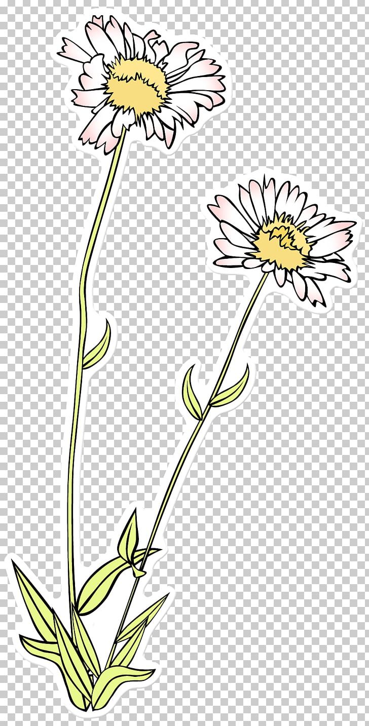 Sketch Flower Drawing PNG, Clipart, Art, Chrysanths, Coloring Book, Cut Flowers, Daisy Free PNG Download