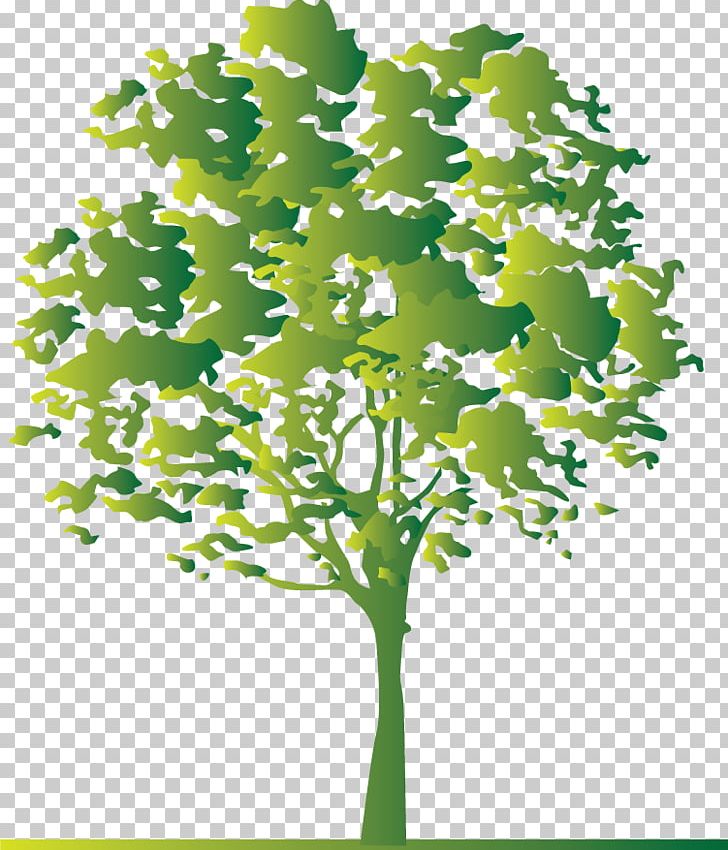 Tree Twig White PNG, Clipart, Art, Black, Black And White, Branch, Business Free PNG Download