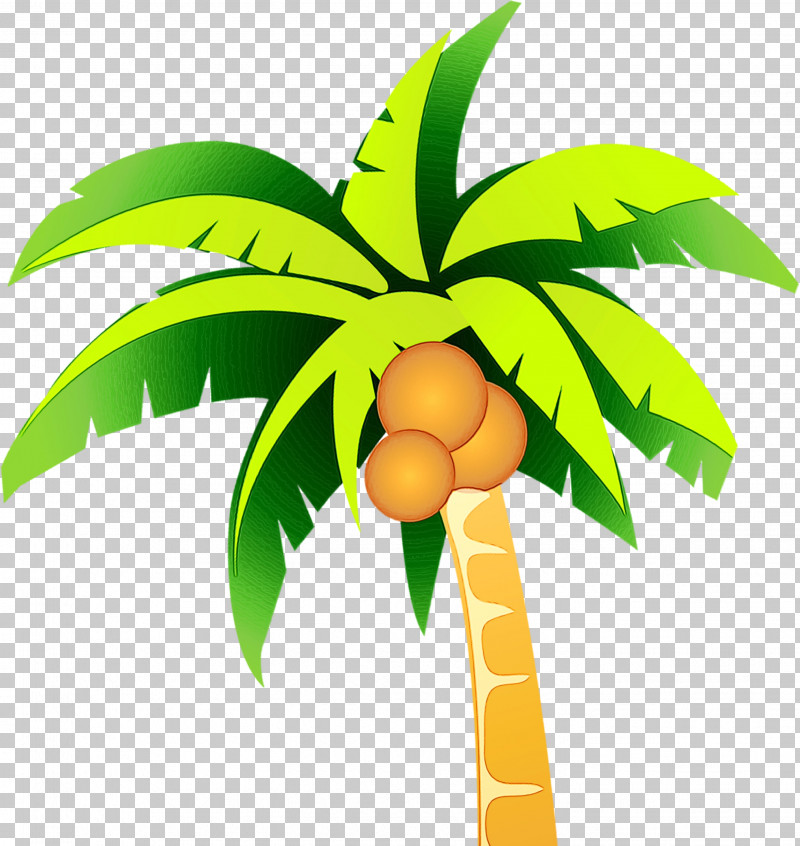 Palm Tree PNG, Clipart, Arecales, Green, Leaf, Paint, Palm Tree Free PNG Download