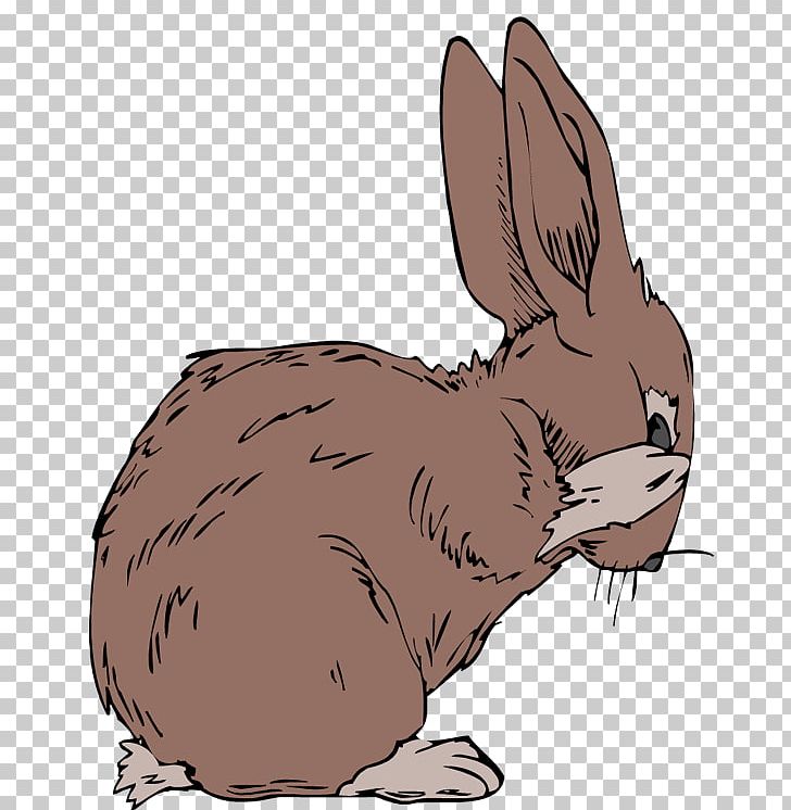 Arctic Hare Domestic Rabbit The Velveteen Rabbit Animal PNG, Clipart, Animal, Animals, Arctic Fox, Arctic Hare, Blanket Free PNG Download