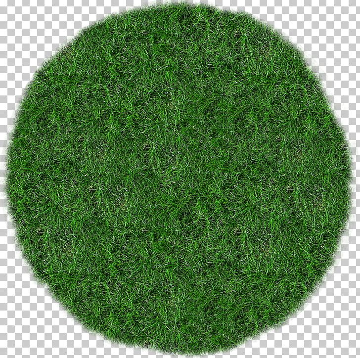 Grass Lawn Mowers Meadow PNG, Clipart, Bluegrass, Corporate Grassroots, Ecology, Grass, Grassroots Free PNG Download