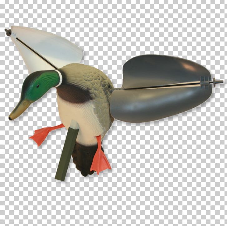 Mallard Duck Dangate Goose Hunting PNG, Clipart, Anatidae, Animals, Anser, Beak, Bird Free PNG Download