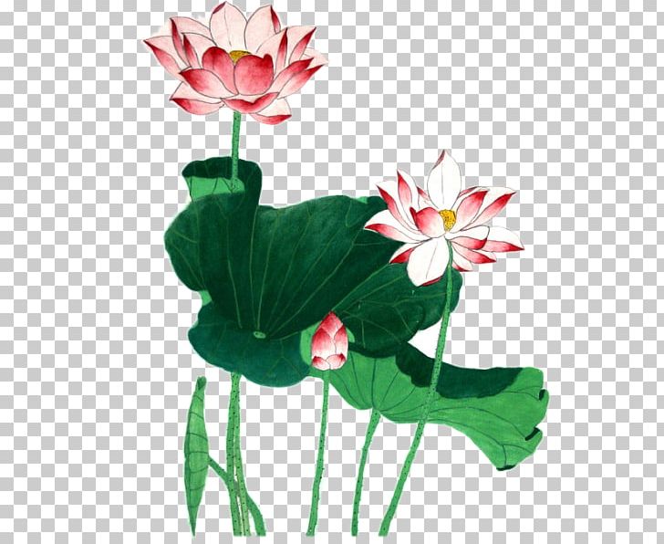 Nelumbo Nucifera Ink Wash Painting PNG, Clipart, Annual Plant, Aquatic Plant, Art, Bong, Chinese Painting Free PNG Download