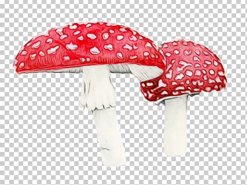 Red Mushroom Pink Agaric Umbrella PNG, Clipart, Agaric, Agaricaceae, Agaricus, Fungus, Mushroom Free PNG Download