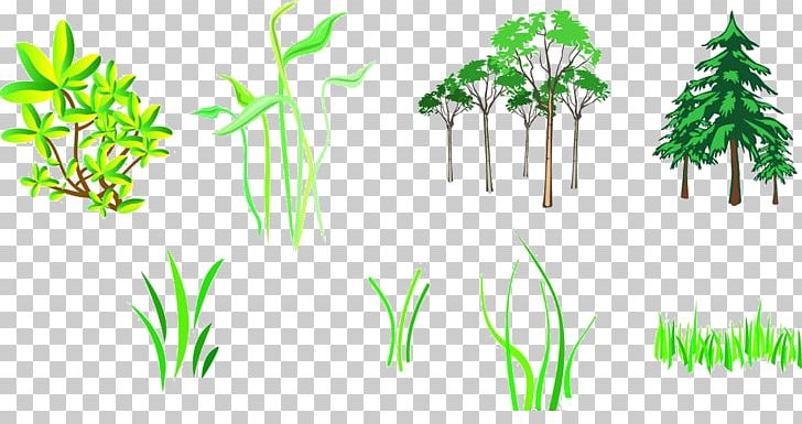 Branch Tree Silhouette PNG, Clipart, Artificial Grass, Bonsai, Branch, Cartoon Grass, Creative Grass Free PNG Download