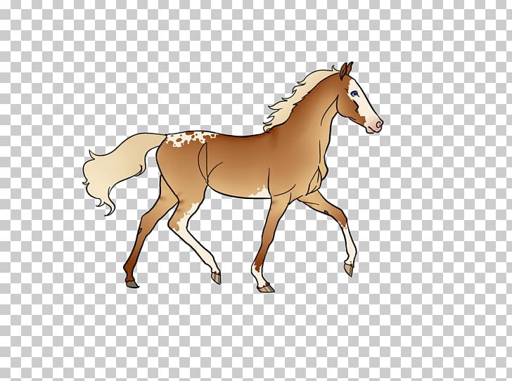 Foal Mustang Stallion Colt Mare PNG, Clipart, Animal Figure, Bridle, Cartoon, Colt, Foal Free PNG Download