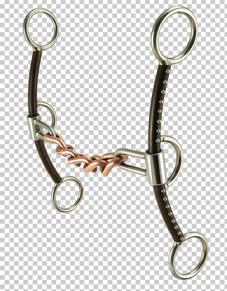 Key Chains PNG, Clipart, Chain, Fashion Accessory, Horse Tack, Keychain, Key Chains Free PNG Download