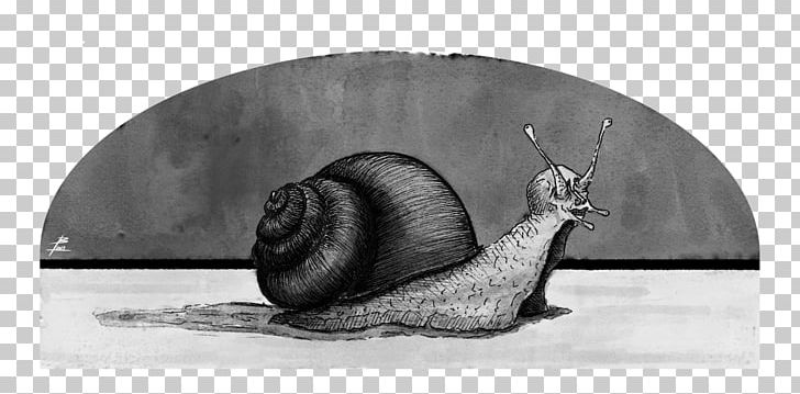 Snail Uzumaki Sketch Horror Comics Slug PNG, Clipart, Artwork, Black And White, Comics, Deviantart, Drawing Free PNG Download