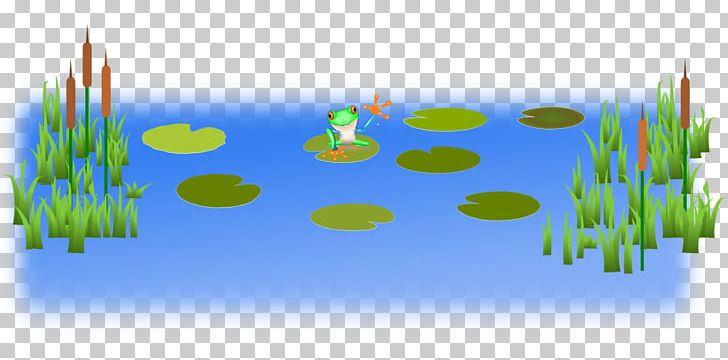 Pond PNG, Clipart, Cattail, Computer Wallpaper, Download, Ecoregion, Ecosystem Free PNG Download