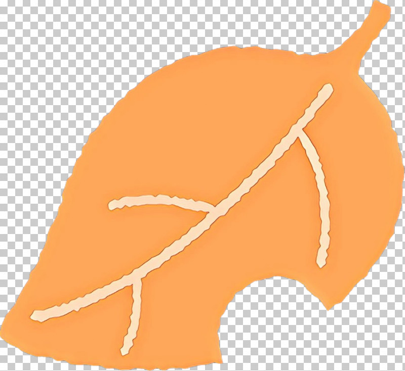 Orange PNG, Clipart, Leaf, Nose, Orange, Plant Free PNG Download