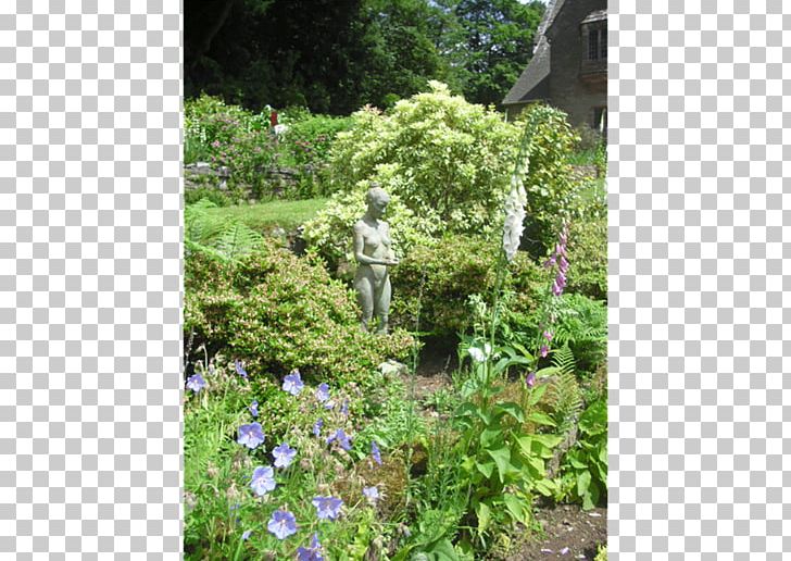Art Exhibition Erwood Station Gallery Workshop Wales Gallery Garden PNG, Clipart, Annual Plant, Art, Art Exhibition, Art Museum, Botanical Garden Free PNG Download