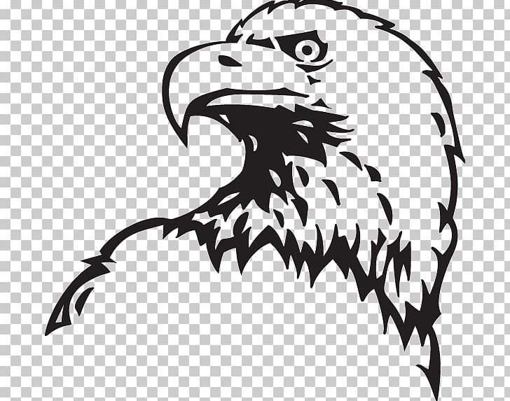 Bald Eagle Drawing PNG, Clipart, Adler Microdistrict, Artwork, Bald, Bald Eagle, Beak Free PNG Download
