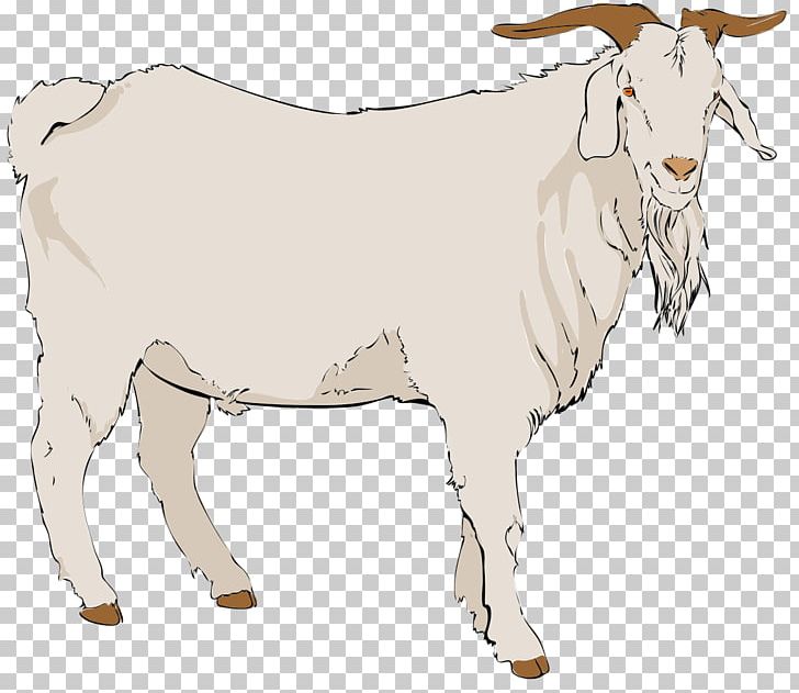 Boer Goat Angora Goat Pygmy Goat Black Bengal Goat PNG, Clipart, Angora Goat, Animal Figure, Black And White, Cow Goat Family, Fictional Character Free PNG Download