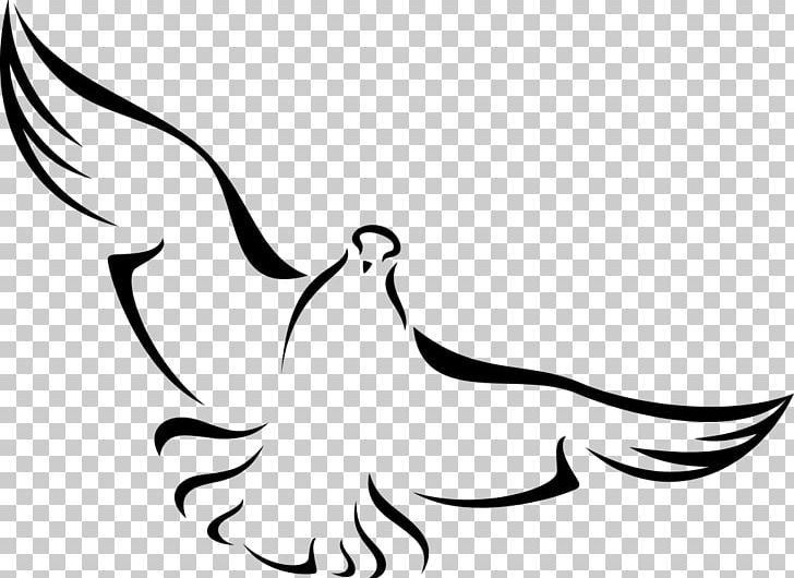 Columbidae Rock Dove Homing Pigeon Doves As Symbols PNG, Clipart, Animals, Area, Art, Artwork, Beak Free PNG Download