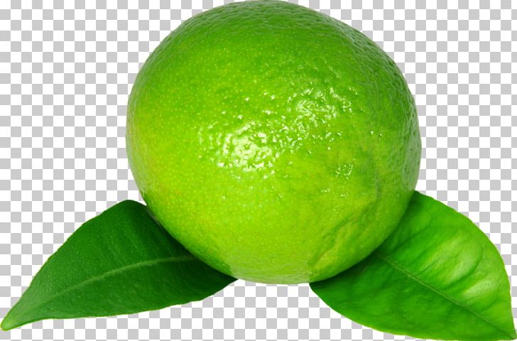 Key Lime Lemon Limeade PNG, Clipart, Auglis, Bitter Orange, Citric Acid, Citron, Citrus Free PNG Download