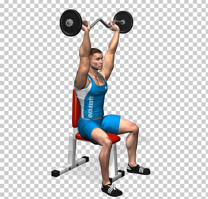 Weight Training Barbell Overhead Press Dip Lying Triceps Extensions PNG, Clipart, Abdomen, Arm, Balance, Barbell, Bench Free PNG Download