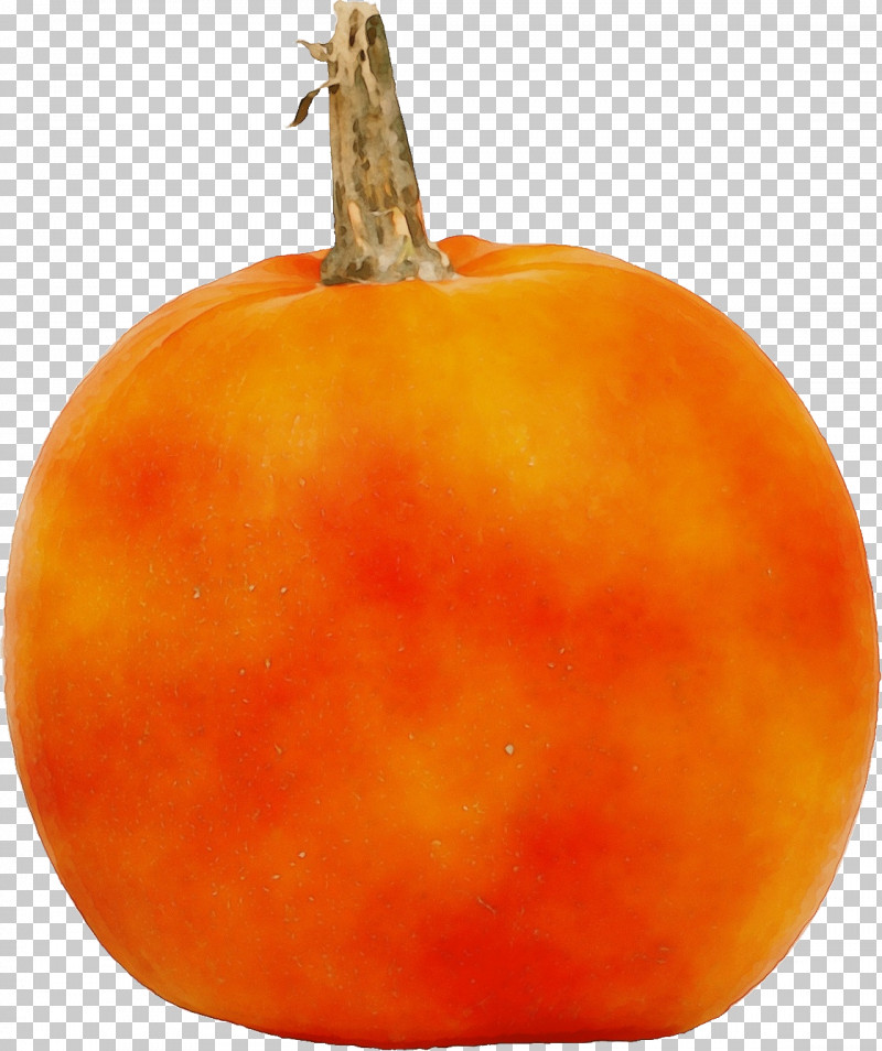 Squash Calabaza Winter Squash Local Food Clémentine M. PNG, Clipart, Apple, Calabaza, Local Food, Paint, Persimmons Free PNG Download