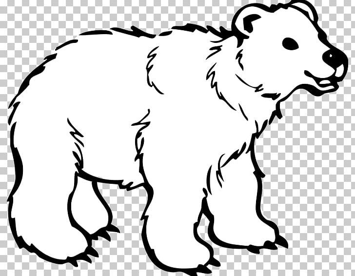 American Black Bear Polar Bear Brown Bear Color Bears PNG, Clipart, Adult, Animals, Art, Big Cats, Black Free PNG Download