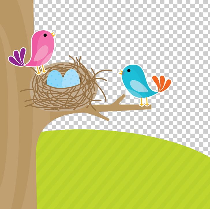 Bird Euclidean Illustration PNG, Clipart, Apartment House, Beak, Bird, Bird Cage, Bird Nest Free PNG Download
