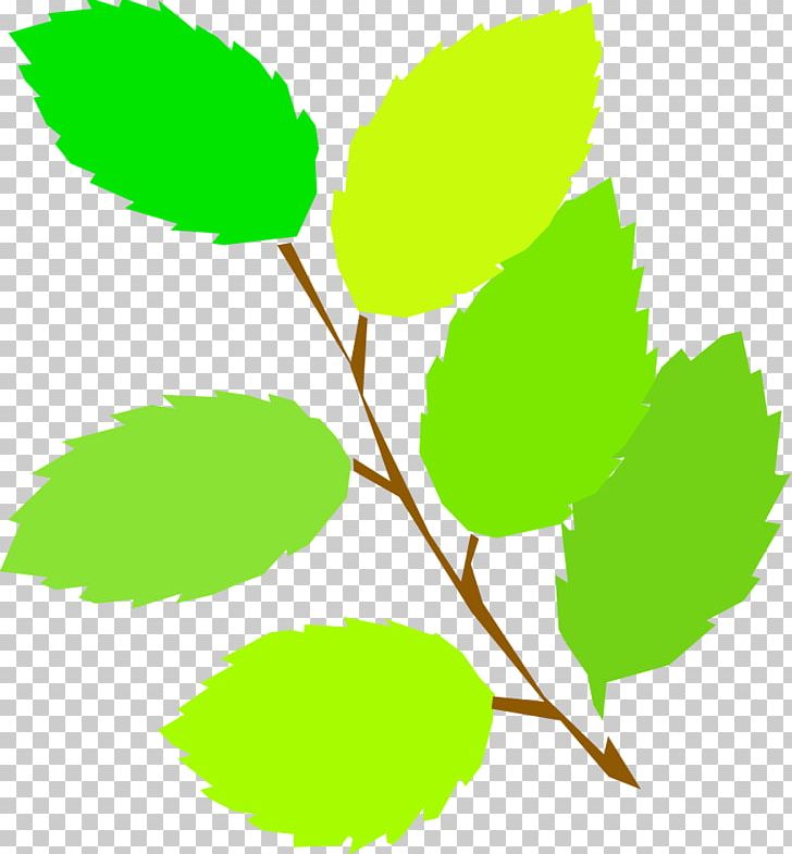 Spring PNG, Clipart, Big Leaves, Big Leaves Cliparts, Blog, Branch, Clip Art Free PNG Download