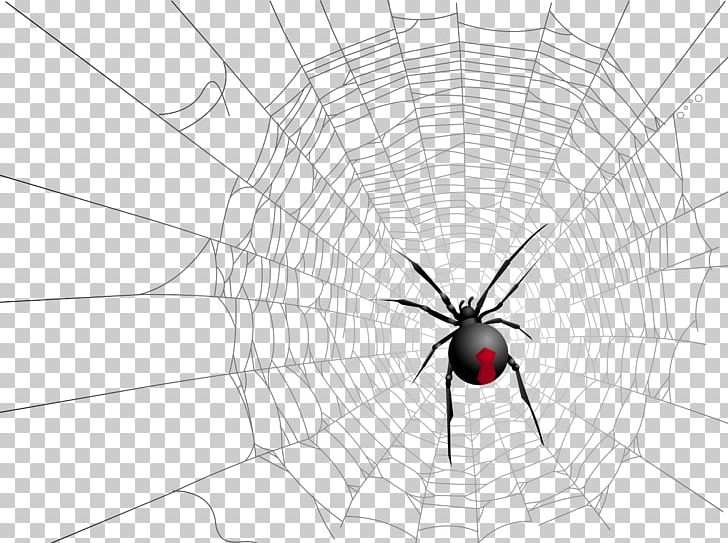 Widow Spiders Insect Symmetry Pattern PNG, Clipart, Animal, Arachnid, Arthropod, Black And White, Circle Free PNG Download