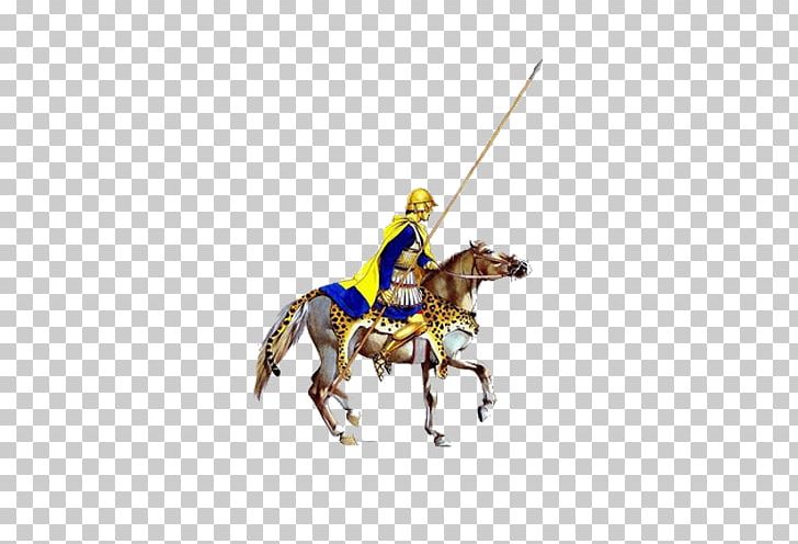 Ancient Greece Macedonia Hellenistic Period Companion Cavalry PNG, Clipart, Ancient History, Ancient Macedonian Army, Armor, Cavalry, Fictional Character Free PNG Download