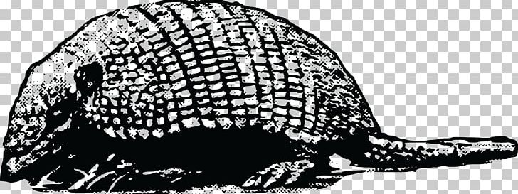 Armadillo Wildlife Glyptodon PNG, Clipart, Animal, Armadillo, Black And White, Carnivoran, Cingulata Free PNG Download