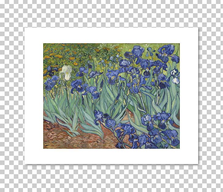 J. Paul Getty Museum Irises Getty Center Painting Art Museum PNG, Clipart, Art, Art Museum, Bluebonnet, Flora, Flower Free PNG Download