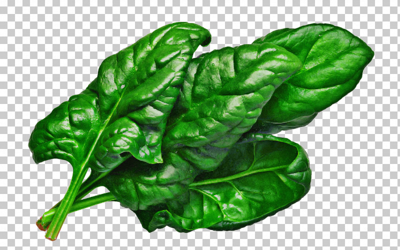 Leaf Vegetable Leaf Chard Vegetable Green PNG, Clipart, Arugula, Cabbage, Chard, Collard Greens, Flower Free PNG Download