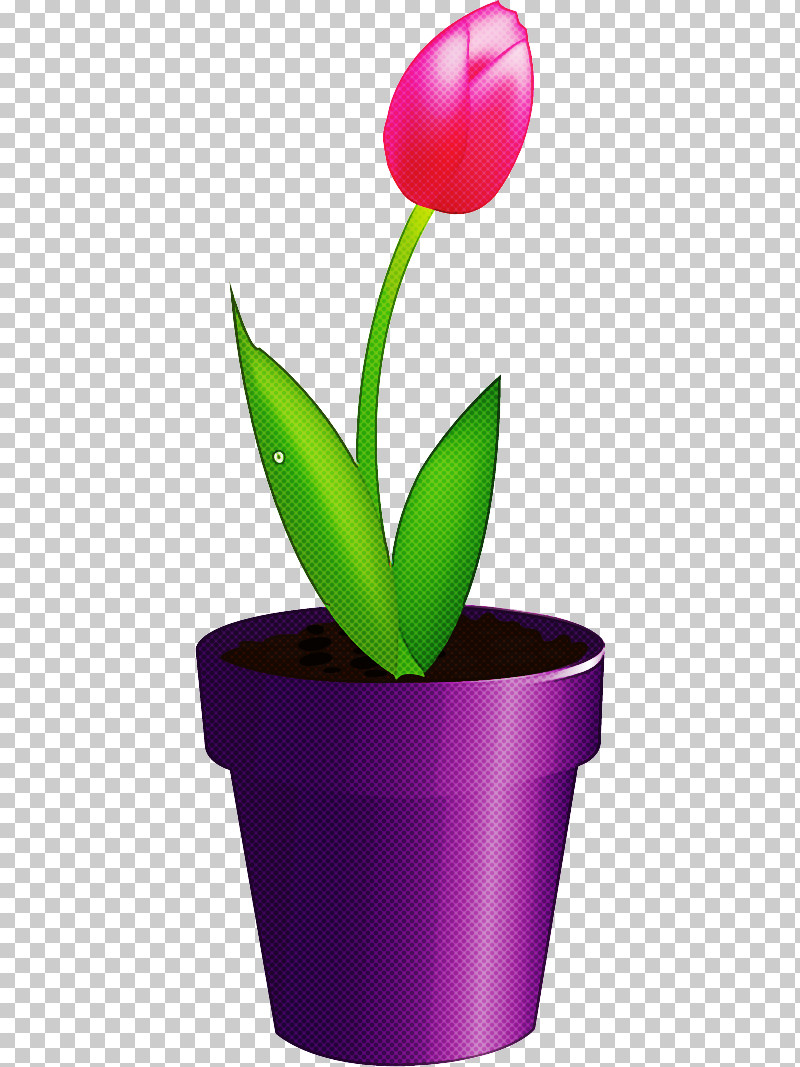 Flower Floral Vase PNG, Clipart, Floral, Flower, Flowerpot, Houseplant, Leaf Free PNG Download