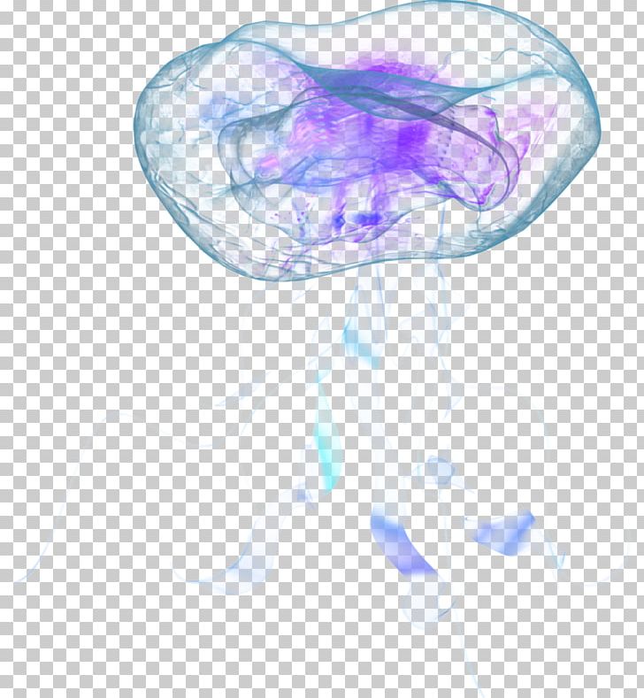 Nomura's Jellyfish Aurelia Aurita Marine Invertebrates PNG, Clipart, Aurelia Aurita, Bioluminescence, Blue, Drawing, Invertebrate Free PNG Download