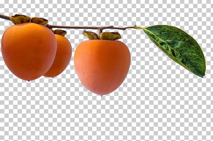 Persimmon Natural Foods Superfood Local Food PNG, Clipart, Apple, Diospyros, Ebony Trees And Persimmons, Food, Fresh Persimmon Free PNG Download