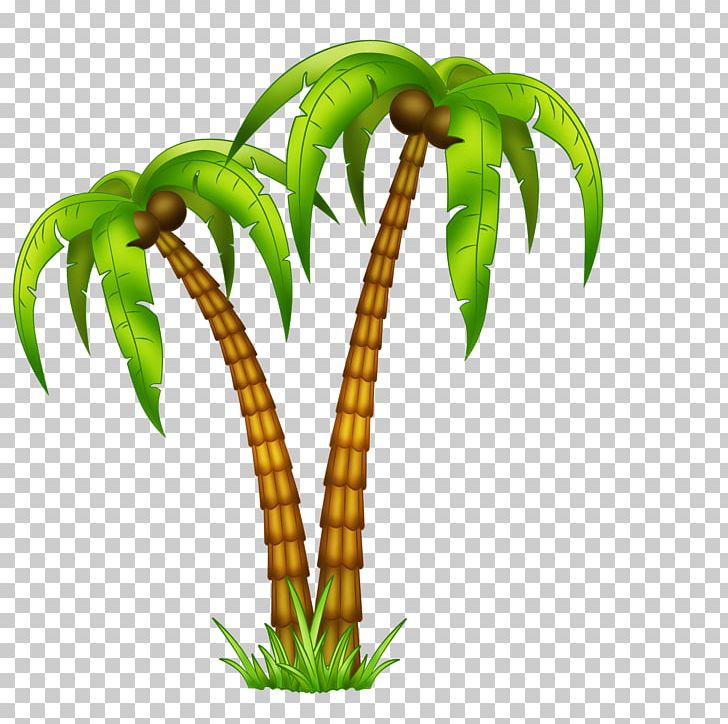 Tropics Cumbia Tropical Music Drawing PNG, Clipart, Arecales, Branch, Coconut Tree, Cuarteto, Cumbia Free PNG Download